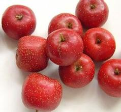 Hawthorn Fruit Powder