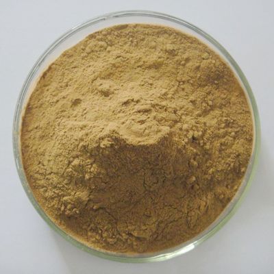 Spine Date Seed Extract Spine Date Seed Extract