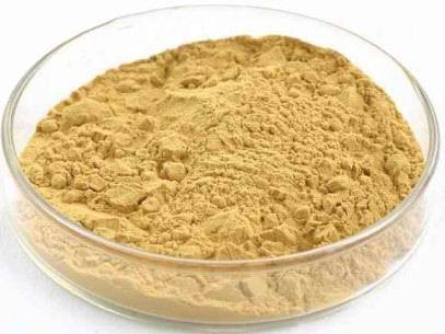 Gynostemma Pentaphyllum Extract