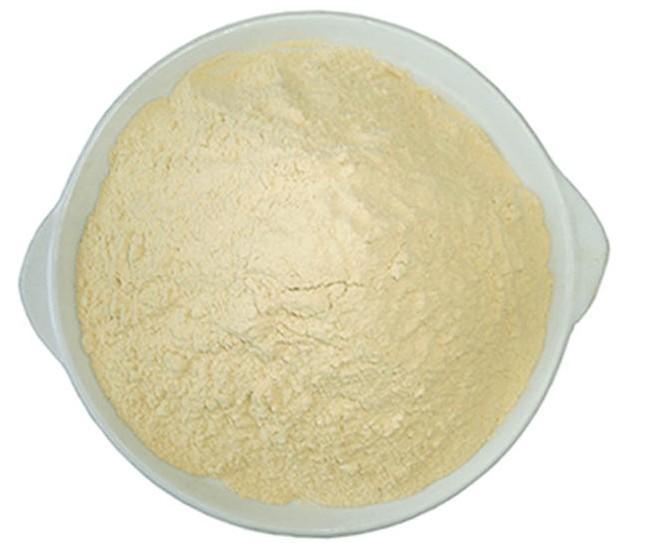 white kidney bean extract.jpg