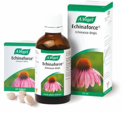 echinacea