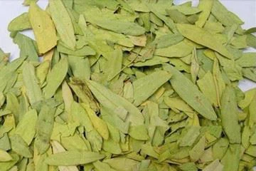 senna leaf