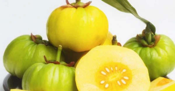 Garcinia cambogia Garcinia cambogia