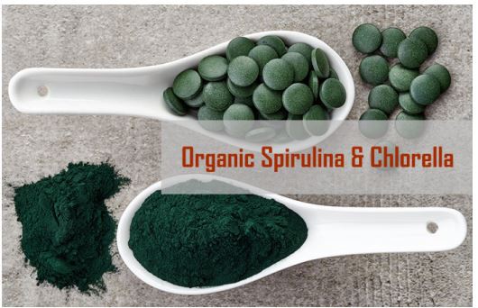 Organic Spirulina Powder