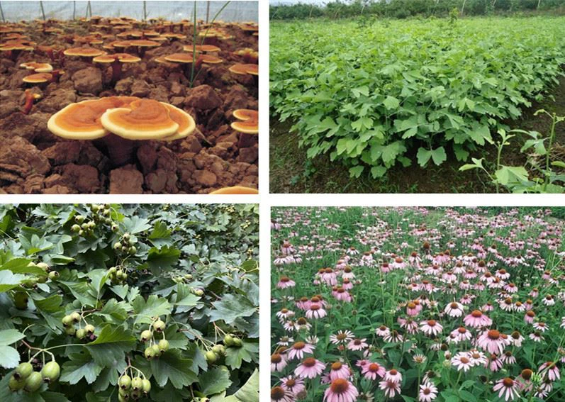 contact us contact us