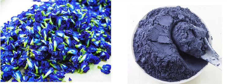 butterfly pea flower & powder