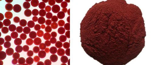 Haematococcus pluvialis & Astaxanthin