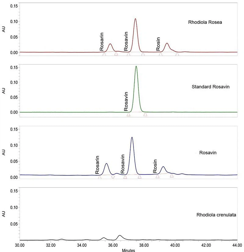 summit of rosavin in different Rhodiola species summit of rosavin in different Rhodiola species