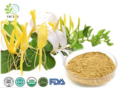 Honeysuckle Extract