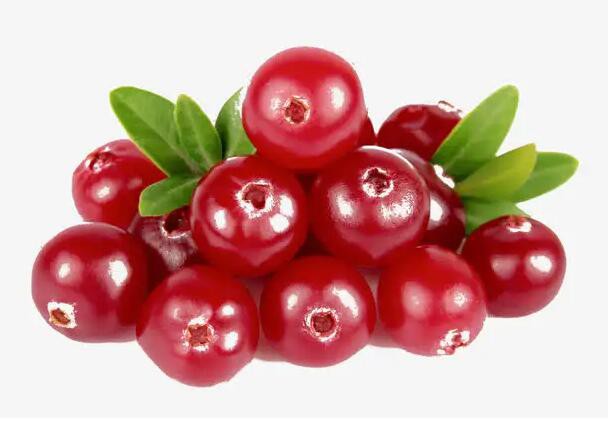 cranberry cranberry
