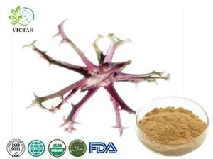 Devil’s Claw Extract