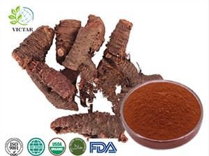 Rhodiola Rosea Extract