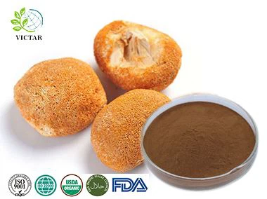 Lion's Mane Mushroom extract