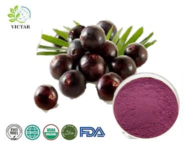 Acai Berry Juice Powder