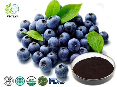 Bilberry Extract