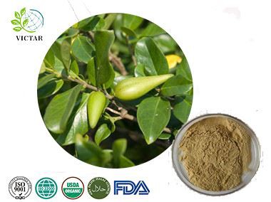Gyminena Extract