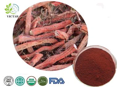 Salvia Miltiorrhiza Extract