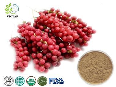 Schisandra Extract