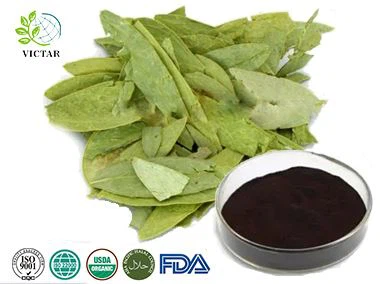Senna Leaf Extract