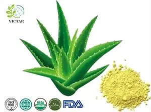 Aloe Vera extract
