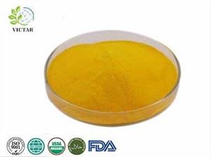 Coenzyme Q10