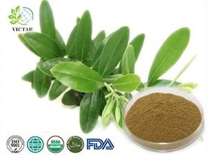 Olive Leaf Extract