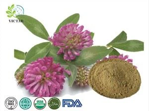 Red Clover Extract