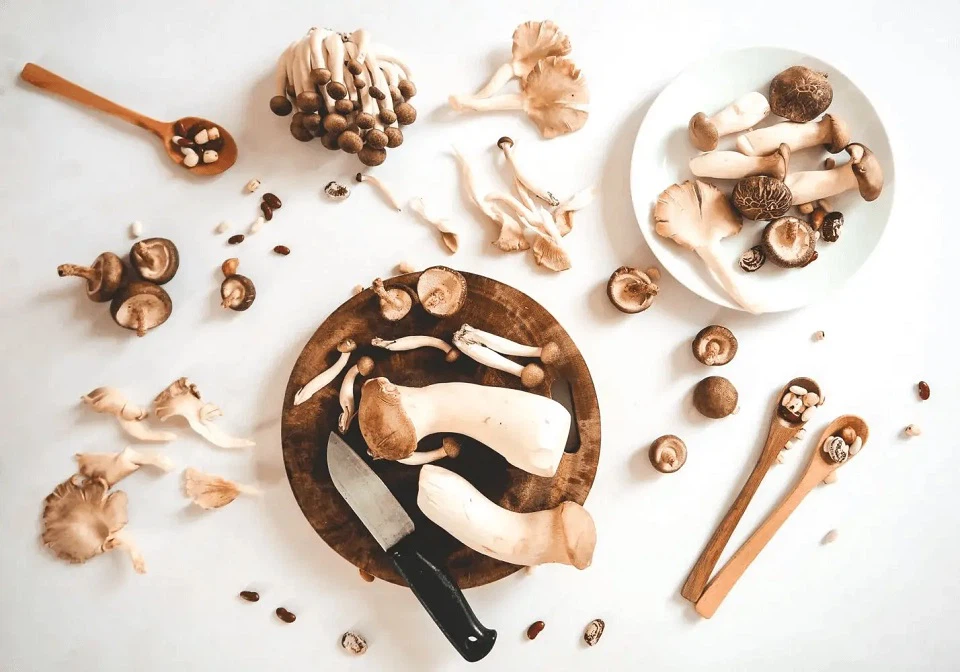 Mushroom Extracts