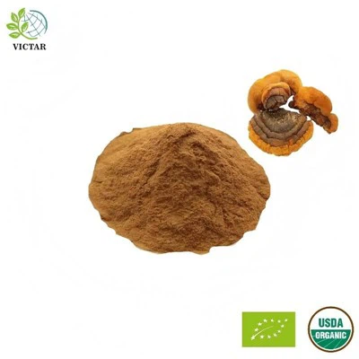 O‌rganic Phellinus Linteus Extract‌